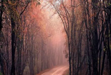 印尼-巴林积分位列第四,罗梅尼建功,赖因德斯失良机.