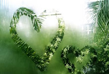 百米飞煞三天两胜博尔特牙买加新星震惊世界.